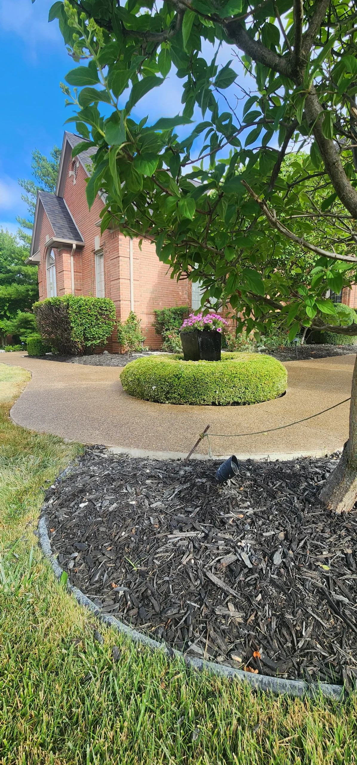 Brick house exterior with a curved walkway, a rounded green bush with a flower planter, and dark mulch in the foreground.