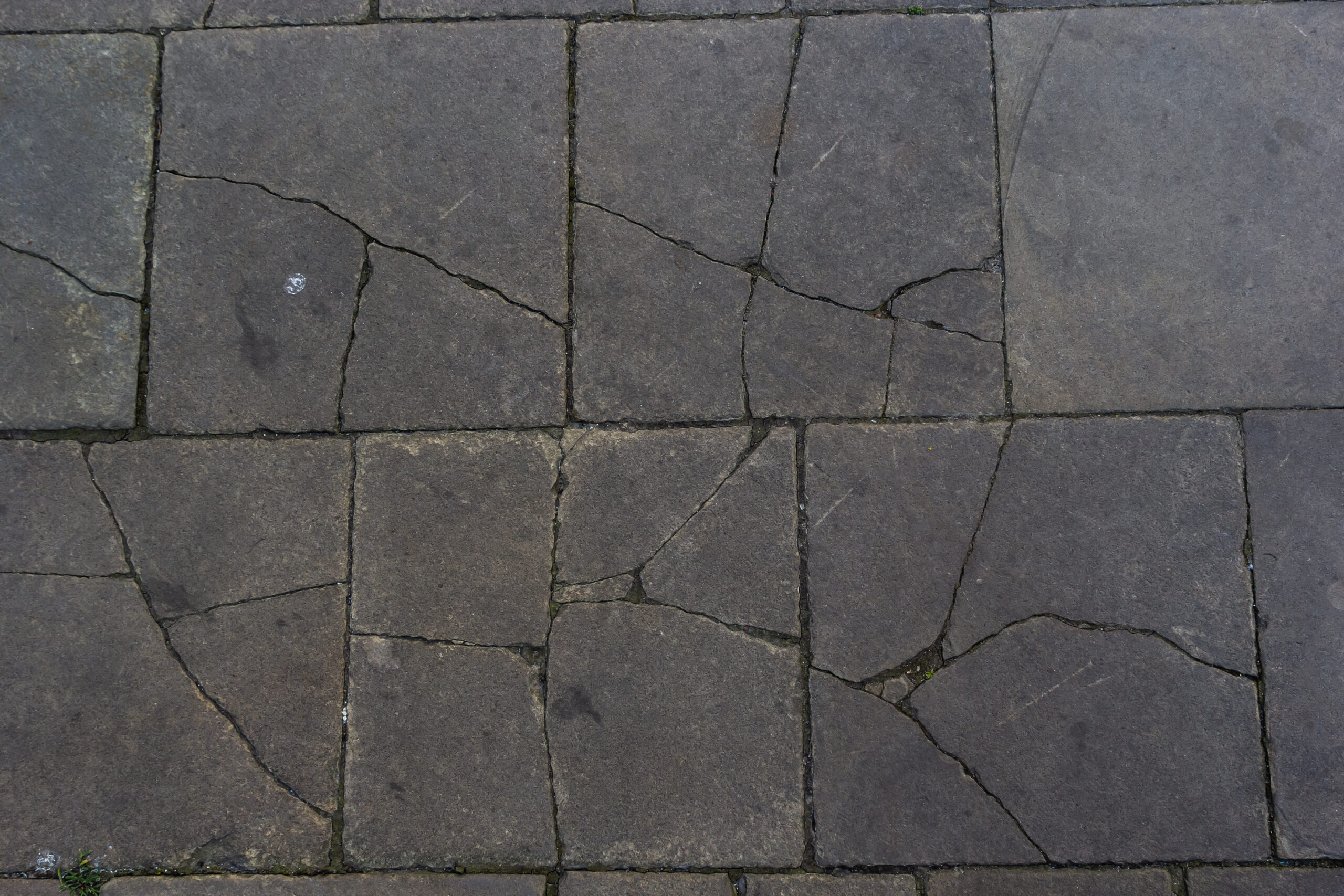 Several squares of gray concrete pavers. Most of the have severe cracks running through them.